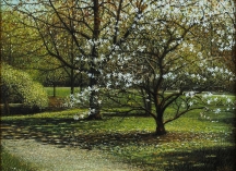 Aperçu de l'œuvre: Magnolias